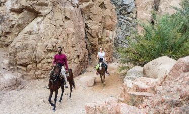 Horse Backriding – Dahab