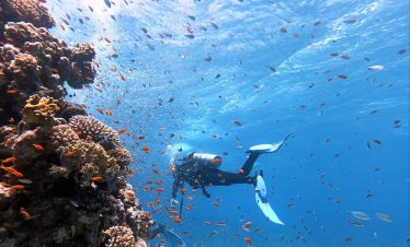 Diving courses package:  Open Water + Advanced Open Water Package