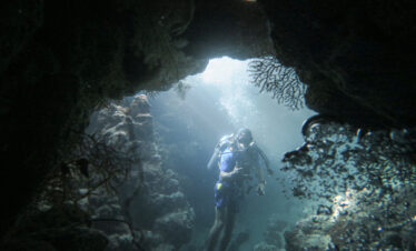 Ras Mohammed (camping + sunset tour in the area / 4 dives) SSH