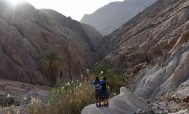 Abu Gallum – Diving & Yoga retreat