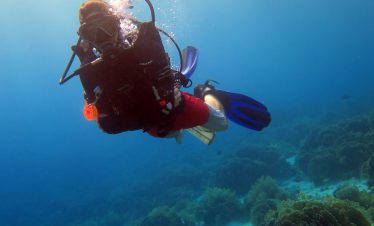 Scuba Diver
