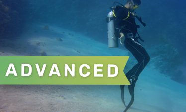 PADI Dive Master