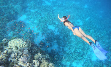 Ras Abu Galloum (1 day / 2 dives)