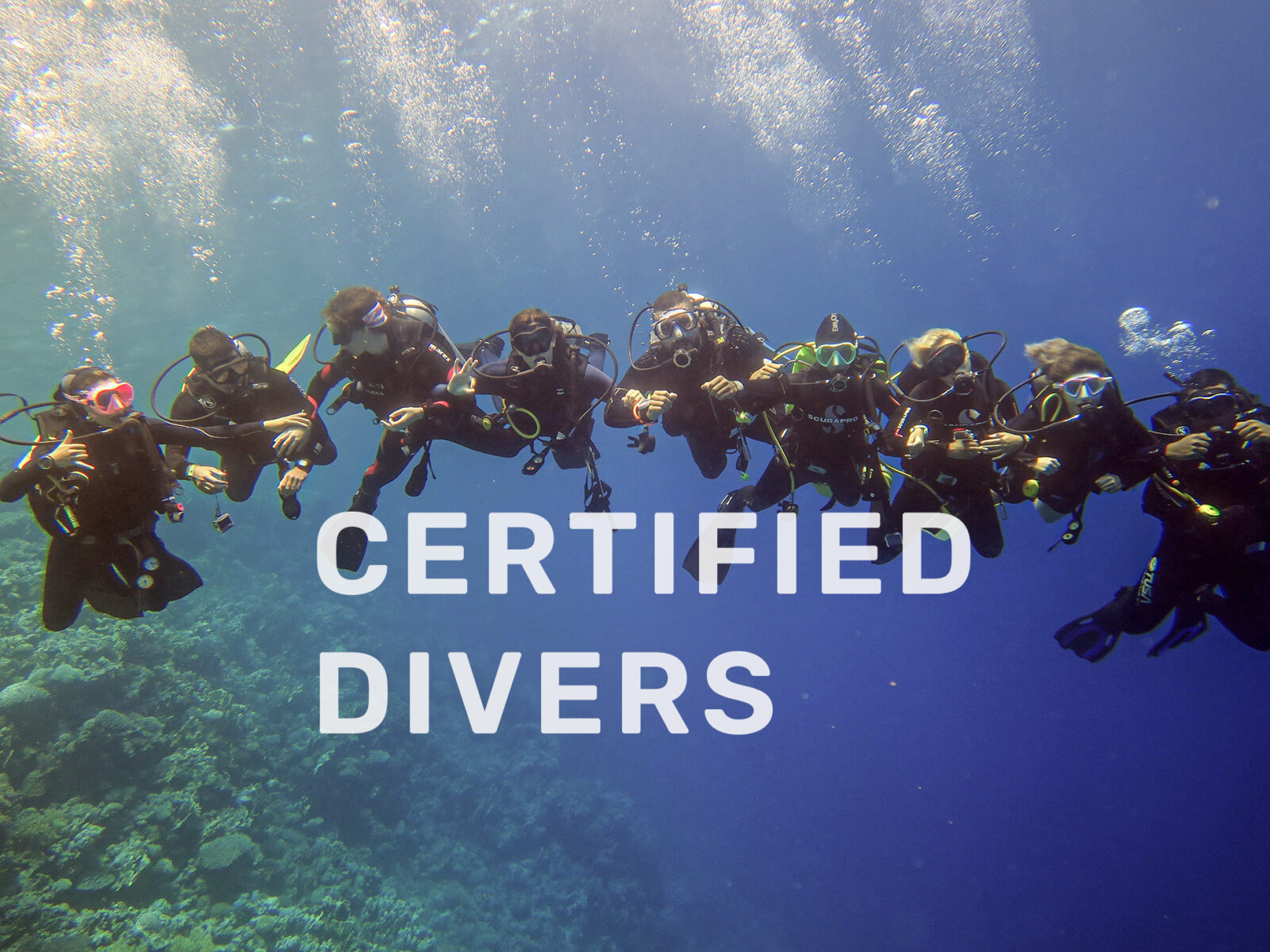 Certified divers in dahab