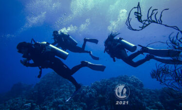 3 divers Gabr elbent