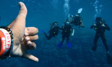 Ras MOhamed protected area (1 day 2 dives)