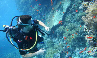 גלה את תוכנית צלילה SCUBA (למתחילים)