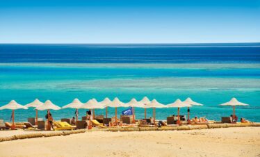 Diving Package Marsa Allam (Sharks and Dolphins)